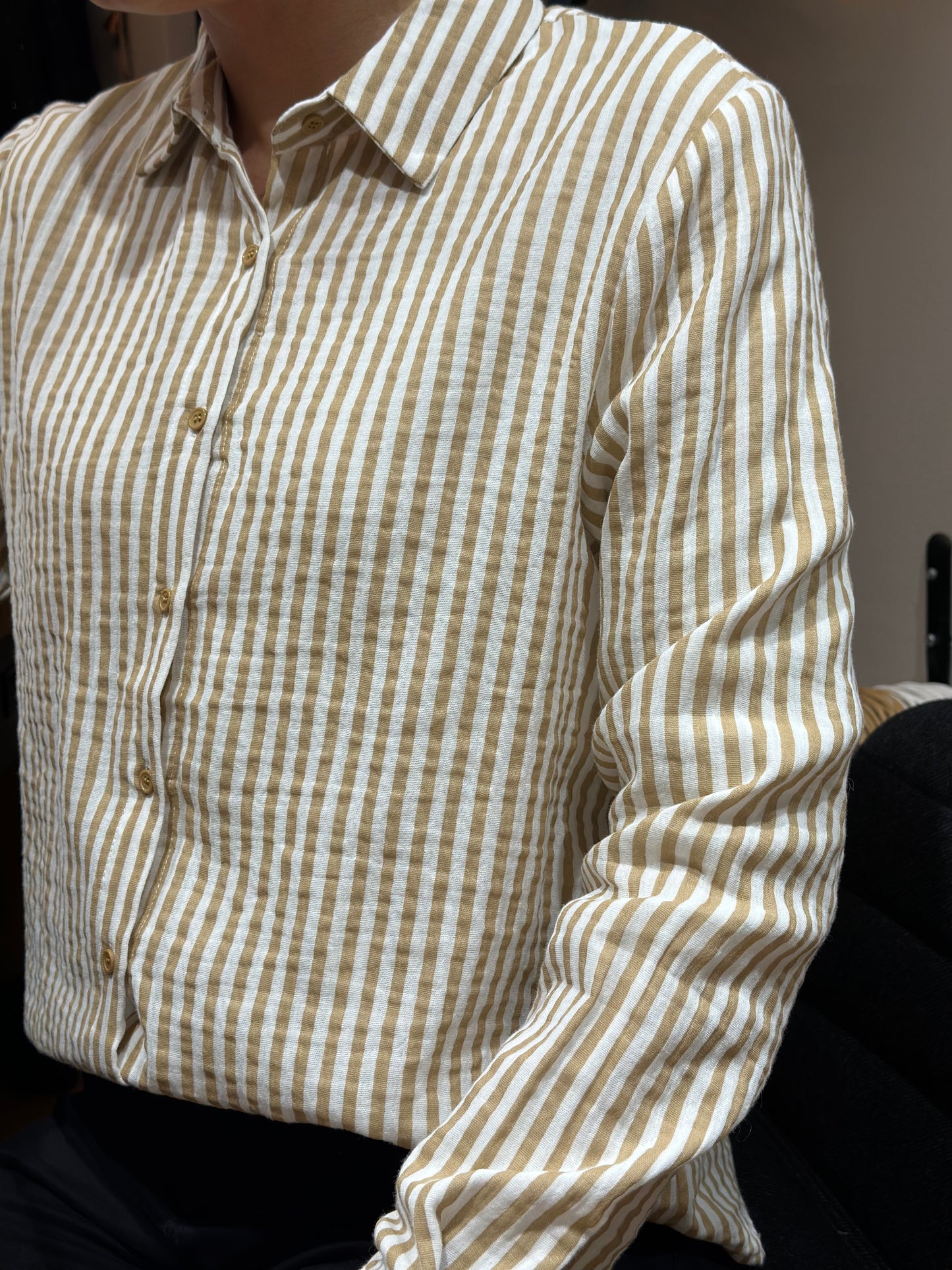 Chemise DG rayures café